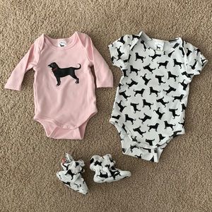 The black dog bundle